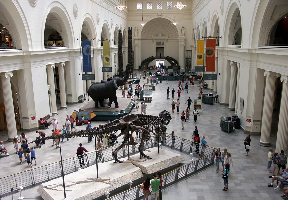 The Field Museum - Chicago, IL photograph